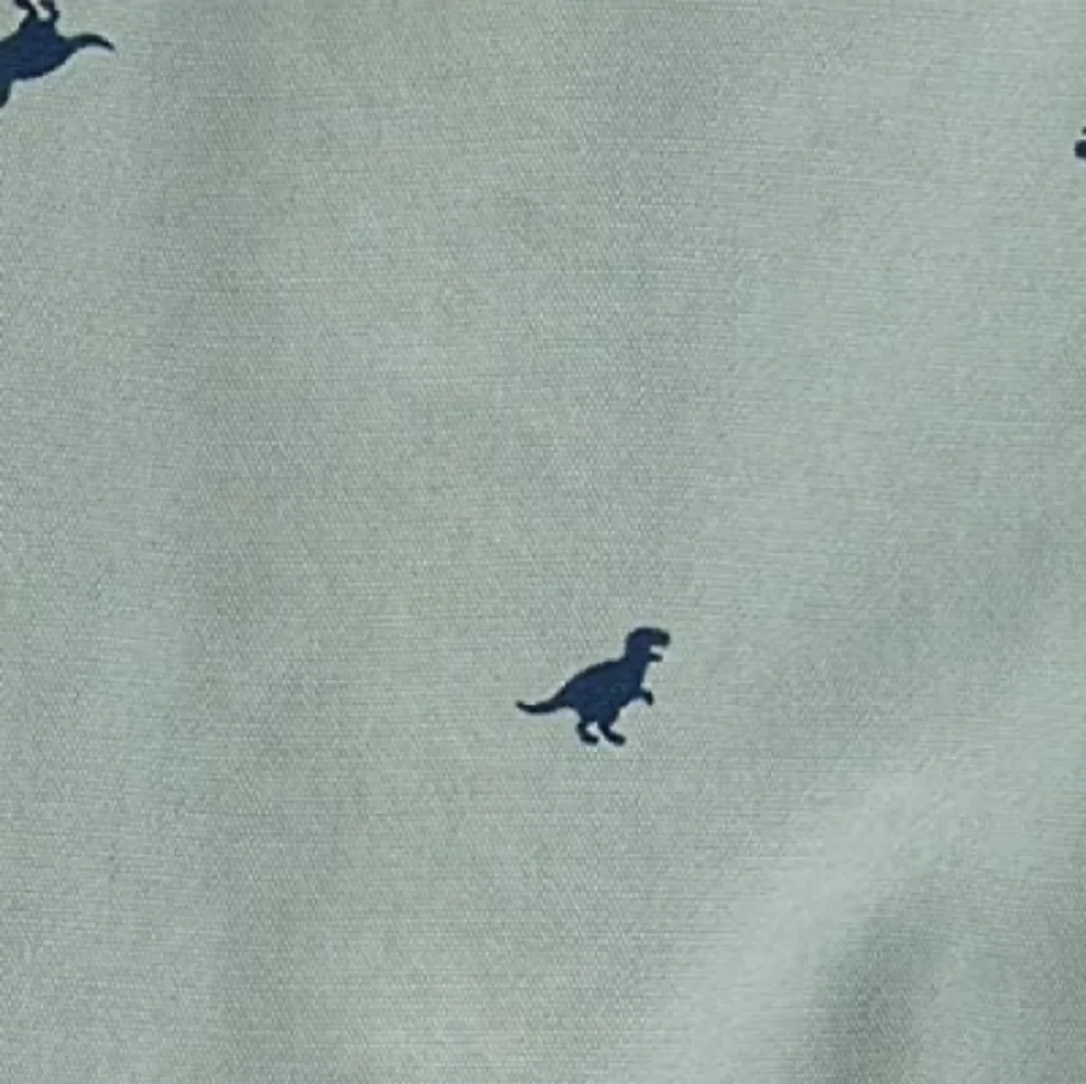 OSH KOSH B’GOSH World’s Best Overalls Green T-Rex Size 5T